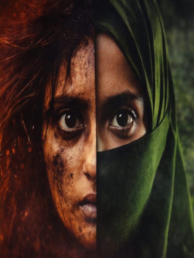 The Kerala Story 2 box office collection update